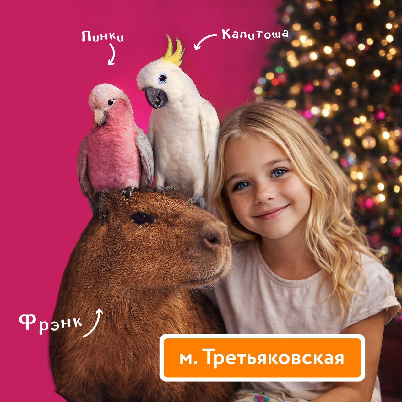 кафе капибары москва